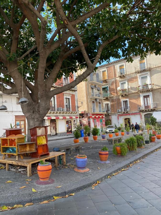 Apartmán Casa Melina CTA Exteriér fotografie